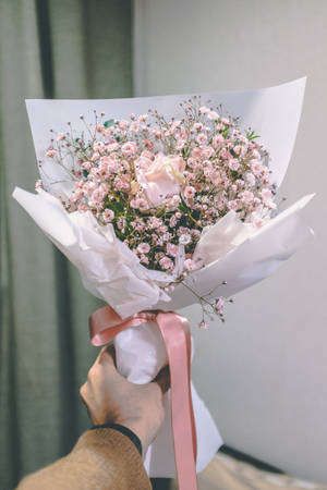 Pink Baby's Breath Flower Bouquet Wallpaper