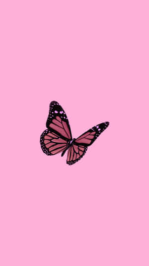 Pink Butterfly Pfp Wallpaper