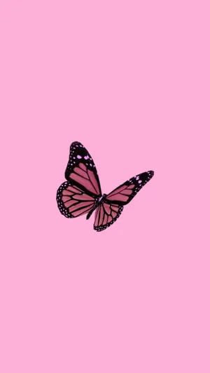 Pink Butterfly Pfp Wallpaper