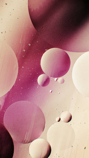 Pink Circles Iphone Xr Wallpaper