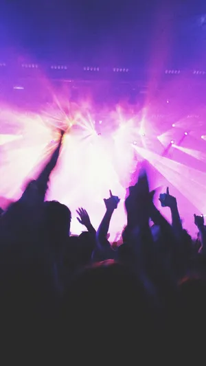 Pink Disco Party Lights Wallpaper