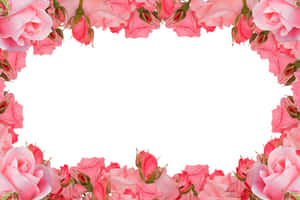 Pink Floral Roses Design Wallpaper