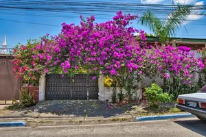 Pink Flower House In Honduras Wallpaper
