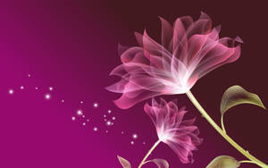 Pink Flower Illustrated Wallpaper