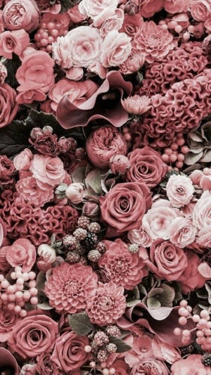 Pink Flowers Iphone 2021 Wallpaper