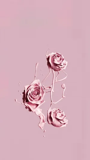 Pink Iphone Xr Aethetic Roses Wallpaper