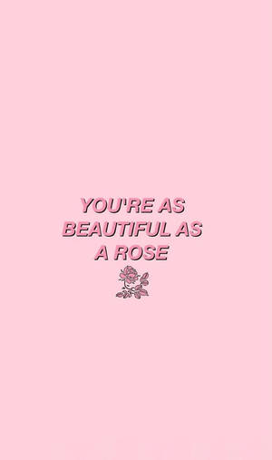 Pink Rose Aesthetic Words Wallpaper