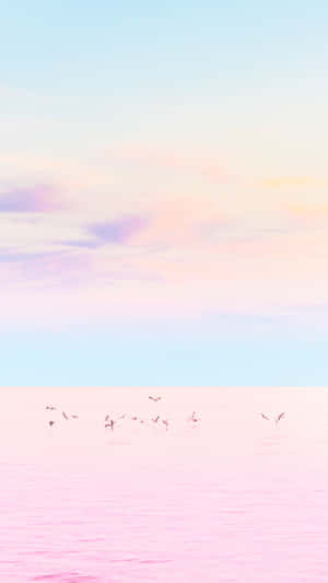 Pink Seagulls Flying Over The Ocean Wallpaper