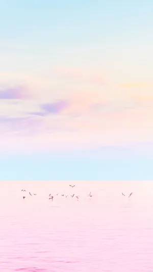 Pink Seagulls Flying Over The Ocean Wallpaper