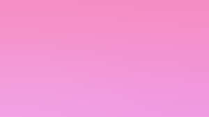 Pink Solid Color Flamingo Wallpaper