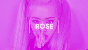 Pink-tinted Rose Blackpink Desktop Wallpaper