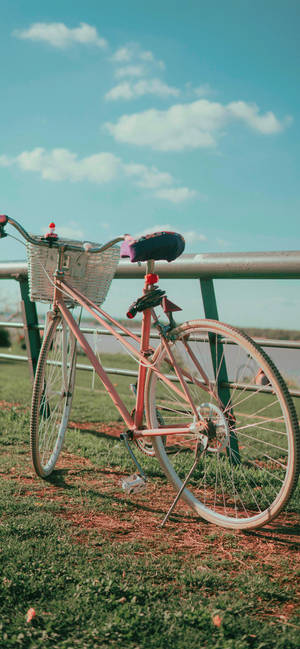 Pink Utility Bikes Iphone Wallpaper