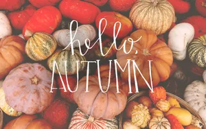 Pinterest Hello Autumn Pumpkin Pile Wallpaper