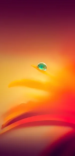 Pixel 3 Xl Droplet On Gradient Orange Wallpaper