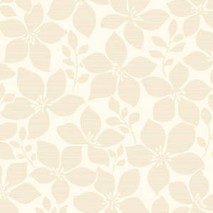 Plain Beige 2000 X 2000 Wallpaper