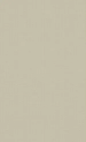 Plain Beige 914 X 1500 Wallpaper
