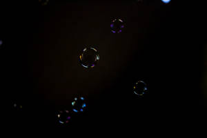 Plain Black With Bubbles Wallpaper