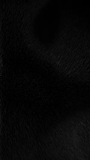 Plain Black With Fur Pattern Wallpaper