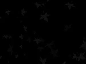 Plain Black With Maple Leaf Design Wallpaper