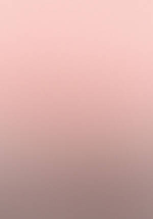 Plain Gradient Rose Gold Wallpaper