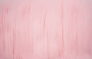 Plain Pastel Pink Wallpaper