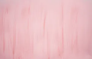 Plain Pastel Pink Wallpaper