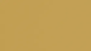 Plain Solid Orange Deskstop Wallpaper