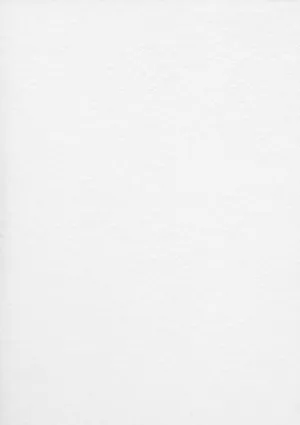 Plain White Pattern Wallpaper