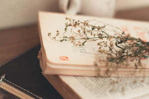 Plant On A Poem Book Wallpaper