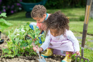 Planting Kids With Gardening Tools Wallpaper