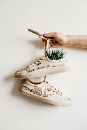 Plants In Shoes Wallpaper