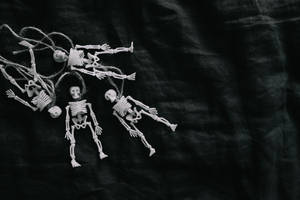 Plastic Figures Skeleton Desktop Wallpaper