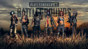 Player Unknown Battlegrounds Characters Grass Field Wallpaper
