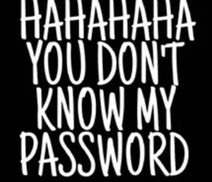 Playful Digital Security -