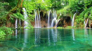 Plitvice Lakes National Park Jungle Wallpaper