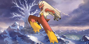 Pokemon Fire Blaziken Snow Wallpaper