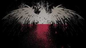 Poland Flag Paint Splatter Wallpaper