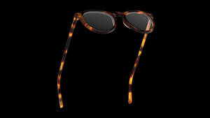 Polo Eyeglasses Brown And Black Wallpaper