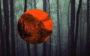 Polyscape Circles Dark Forest Wallpaper