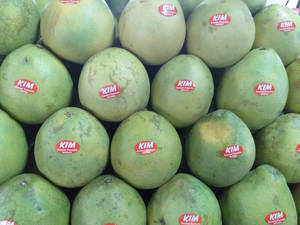 Pomelo Fruit Display Wallpaper