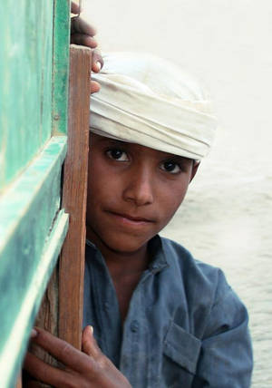 Portrait Of A Shy Boy Wallpaper