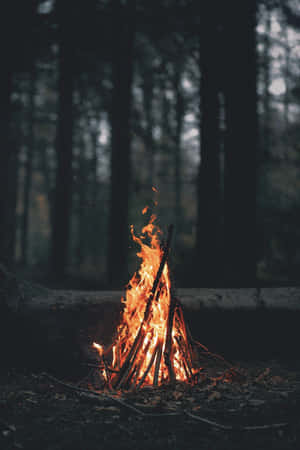 Portrait Photography Aesthetic Forest Bonfire Wallpaper