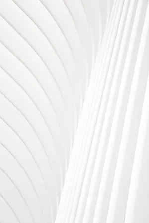 Portrait Solid White Pattern Wallpaper