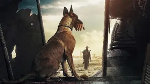 Post Apocalyptic Companion Dogand Survivor Wallpaper