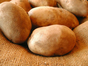 Potatoes With Dust On A Burlap Wallpaper