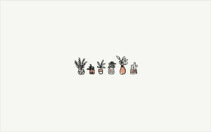 Potted Plants Graphic From Pinterest Laptop Wallpaper