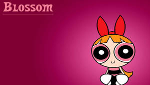 Powerpuff Girls Blossom Character Poster Wallpaper