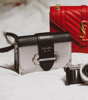 Prada And Ysl Bags Wallpaper