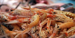 Prawns With Orange Exoskeletons Wallpaper