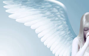 Praying Angel Wallpaper